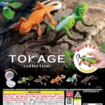 とかげコレクション
