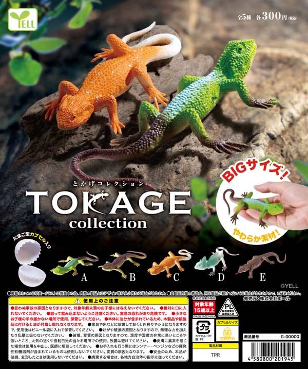 とかげコレクション