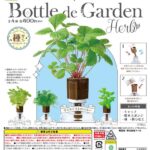 ボトルDEガーデン～ハーブ～