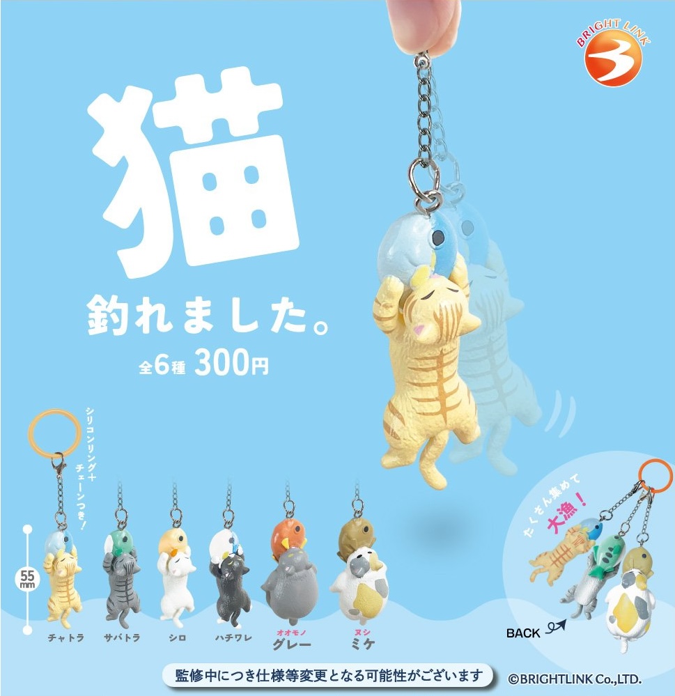 猫釣れました。