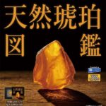 天然琥珀図鑑