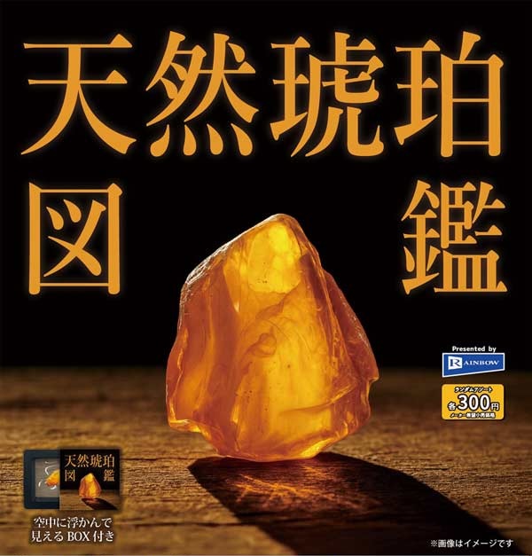 天然琥珀図鑑