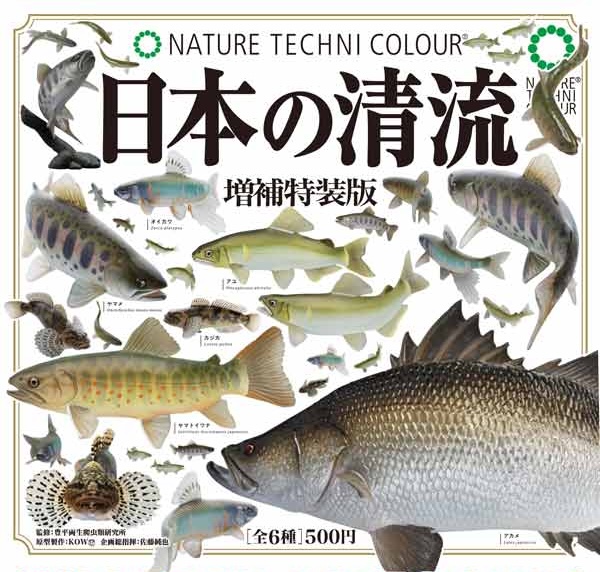 NTC 日本の清流 増補特装版（再販）