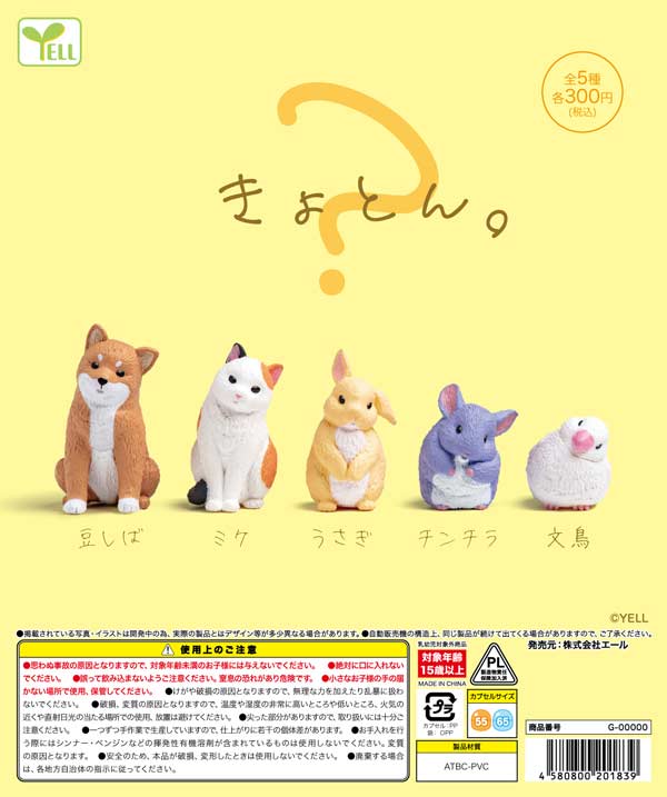 【予約・購入】きょとん。 /設置場所| ガチャガチャアイランド