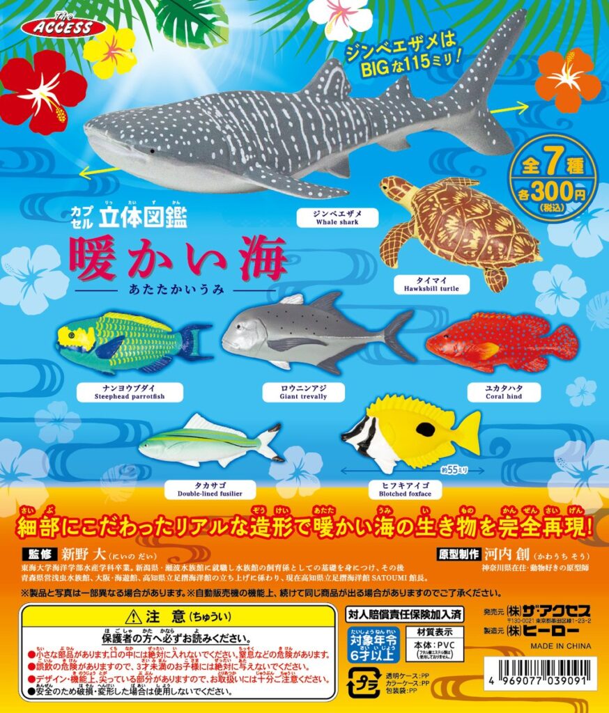 立体図鑑 暖かい海（再販）