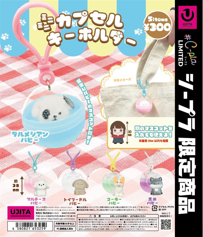 ミニミニカプセルキーホルダー