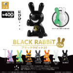 BLACK RABBiT10