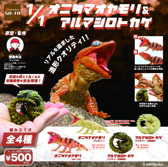 1/1 オニタマオヤモリ＆アルマジロトカゲ（再販）