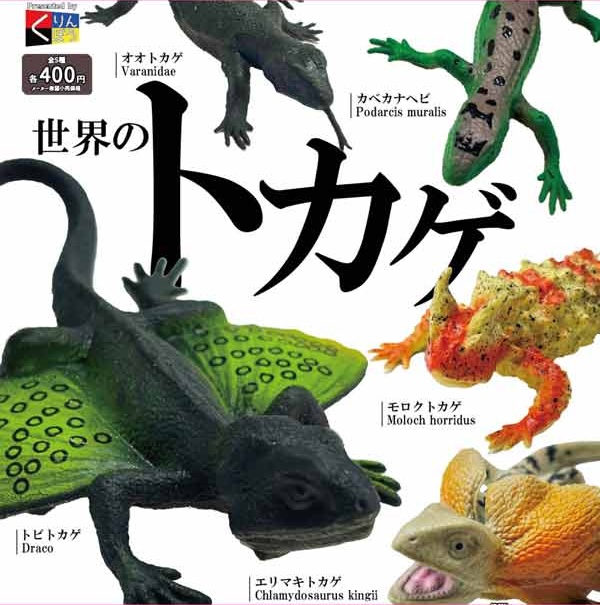 世界のトカゲ