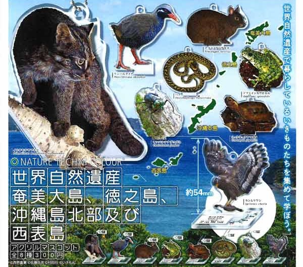 NTC 世界自然遺産 奄美大島、徳之島、沖縄島北部及び西表島 アクリルマスコット