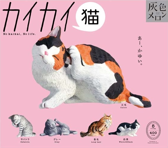 カイカイ猫