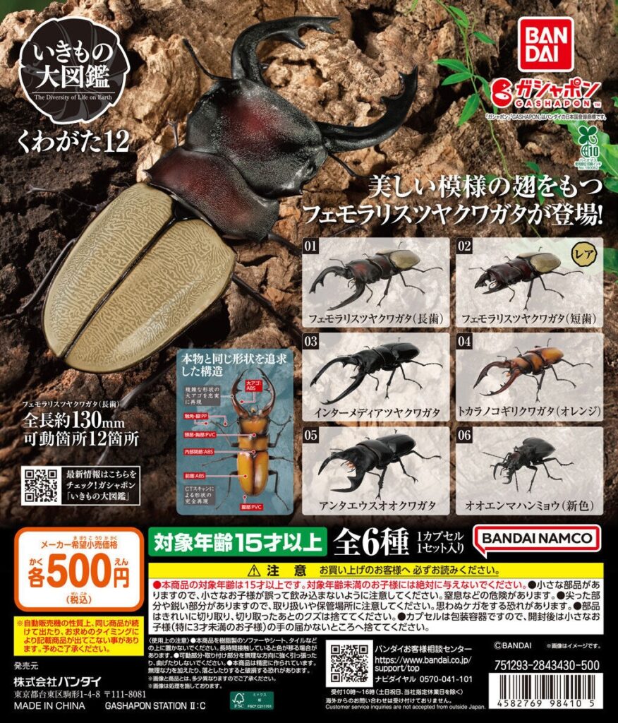 いきもの大図鑑 くわがた12
