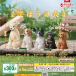 まてぼうけ 犬4