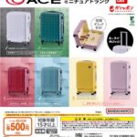 ACE ミニチュアトランク