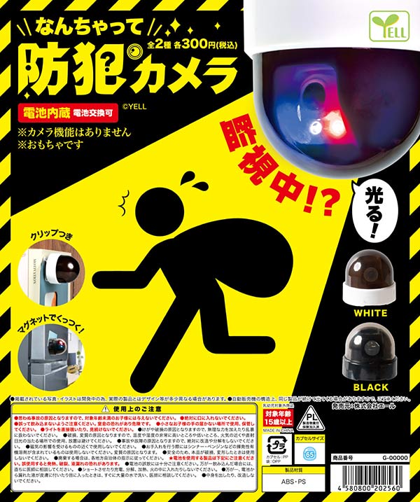 なんちゃって防犯カメラ
