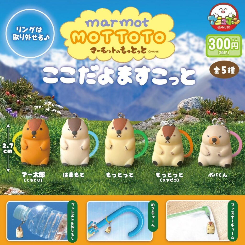 マーモットのもっとっと ここだよますこっと