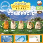 マーモットのもっとっと ここだよますこっと