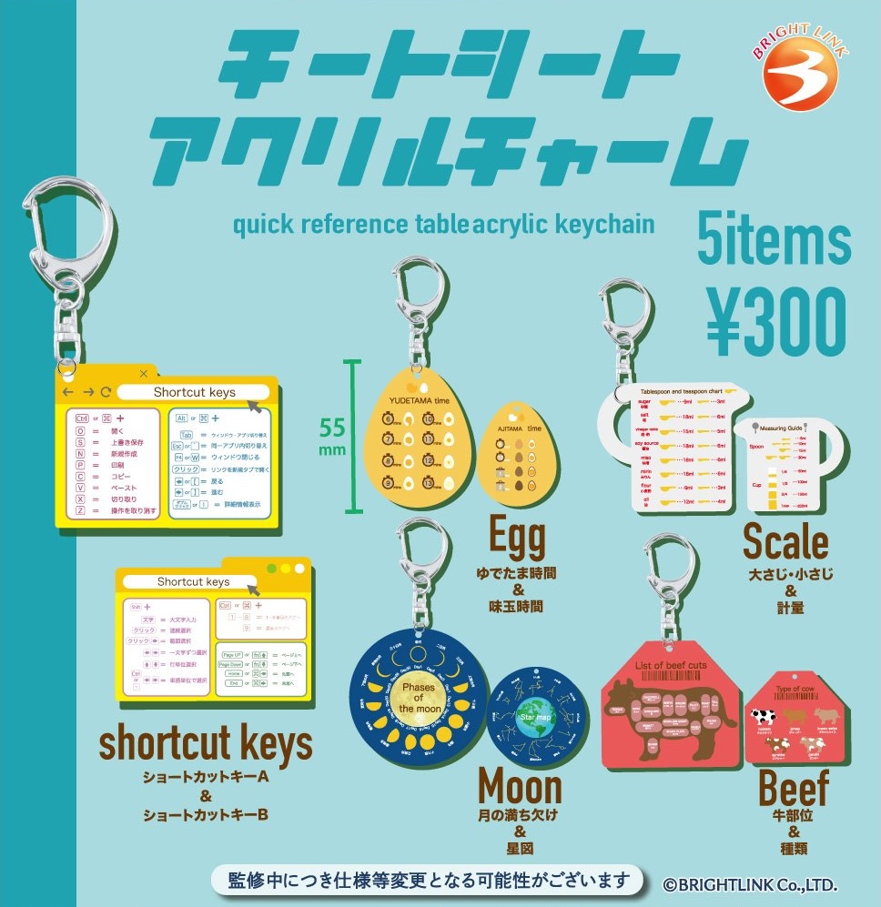 チートシート アクリルチャーム