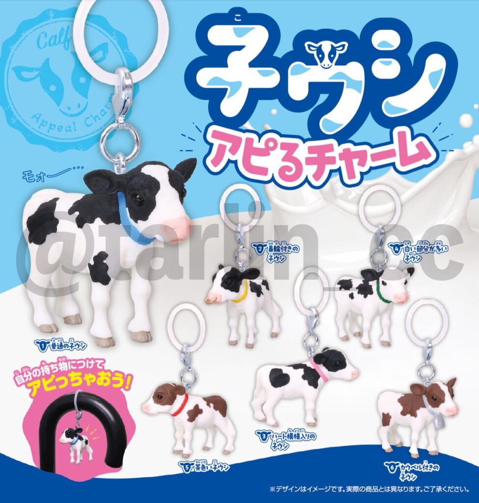 子ウシ アピるチャーム