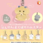 りんりんよくばりハムスター