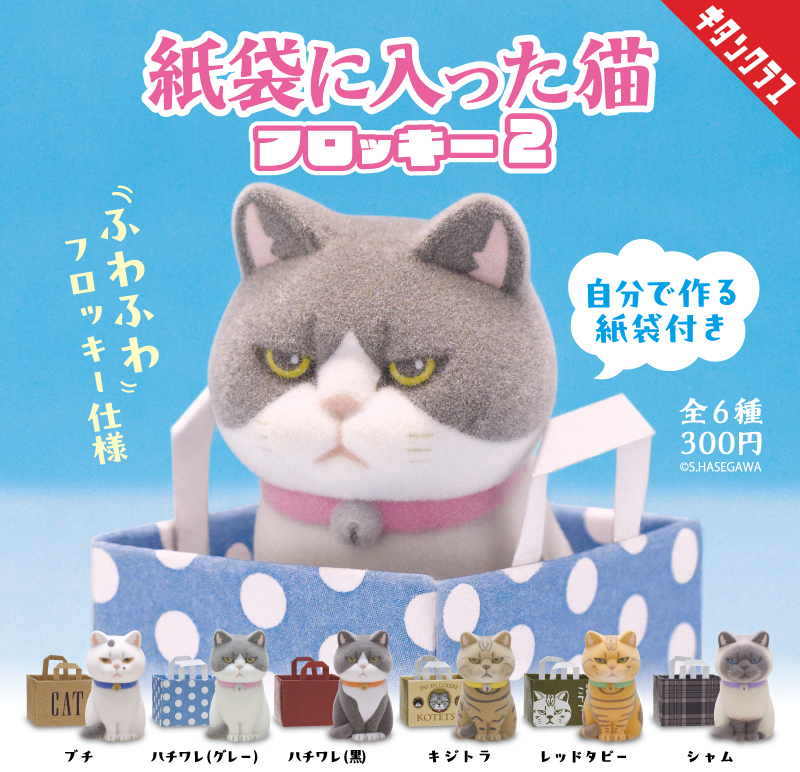 紙袋に入った猫 フロッキー2