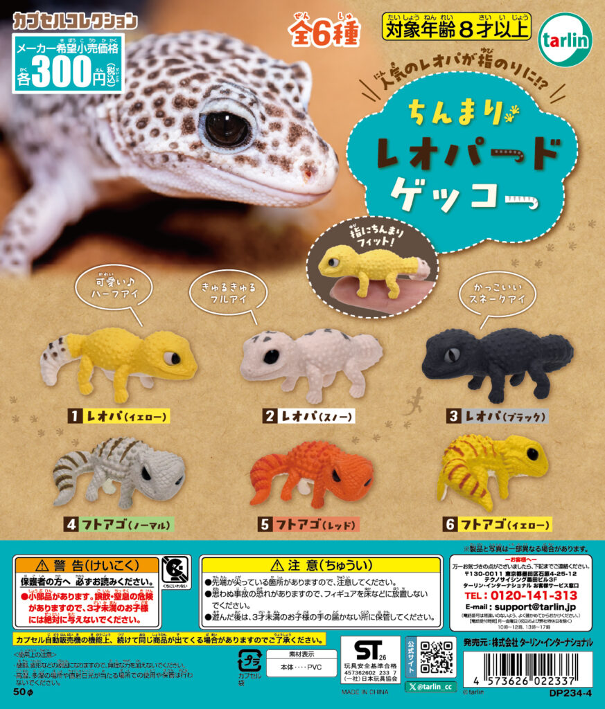 ちんまりレオパードゲッコー