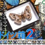 ドイツ箱 マグネットコレクション2