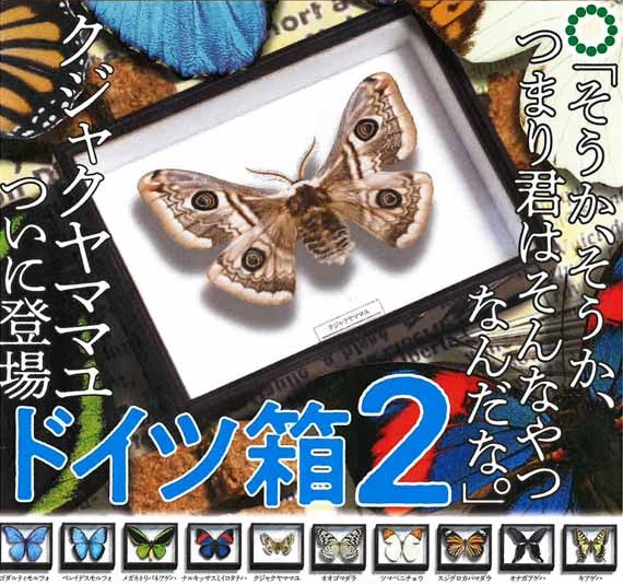 ドイツ箱 マグネットコレクション2
