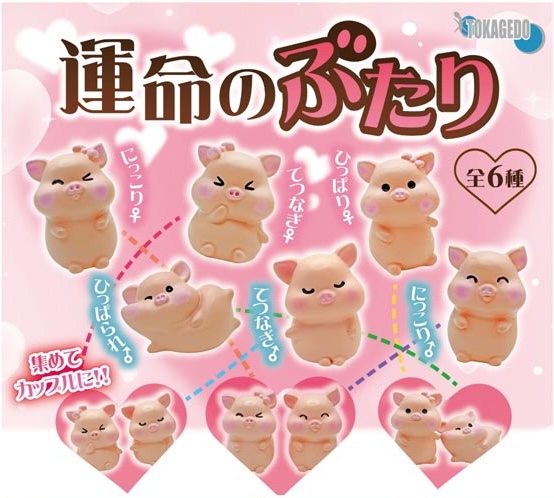運命のぶたり