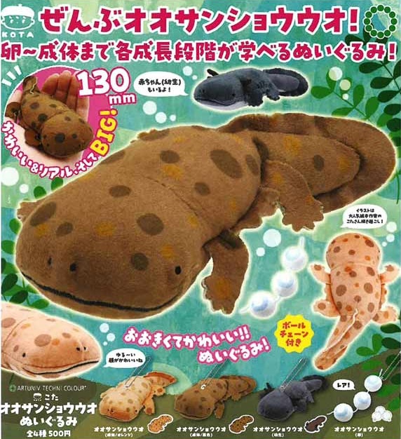 ATC こた オオサンショウウオぬいぐるみ