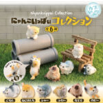 にゃんこいっぱいコレクション
