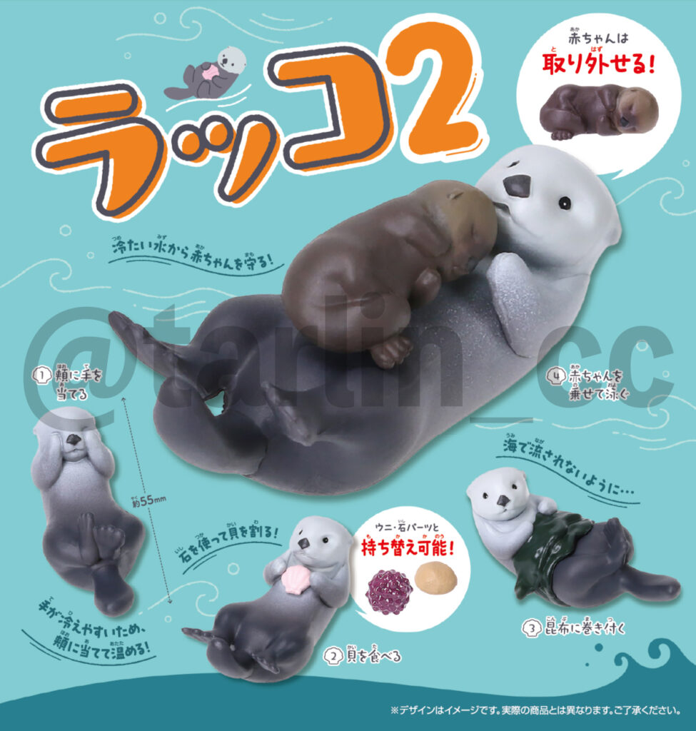 ラッコ2