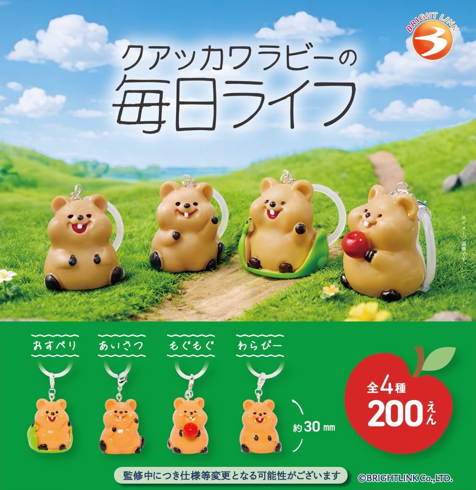クアッカワラビーの毎日ライフ