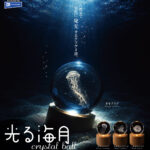 光る海月 crystal ball