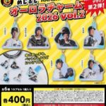 阪神タイガース めじるしオーロラチャーム2026 vol.2