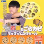 100円娯楽＆ごらカピ ちゅるっと立体シール