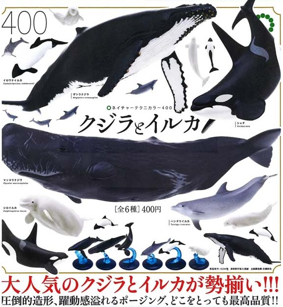 NTC400 クジラとイルカ