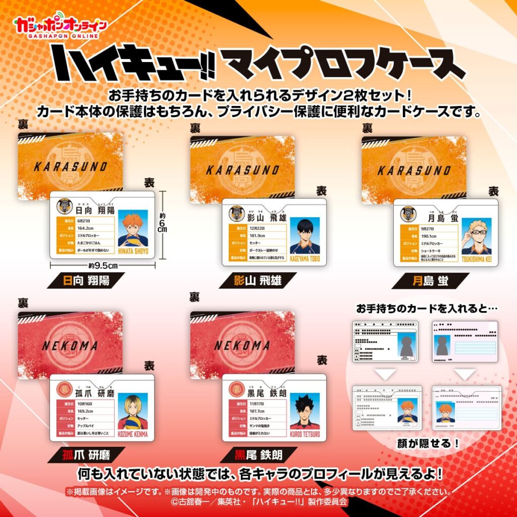 ハイキュー!! マイプロフケース