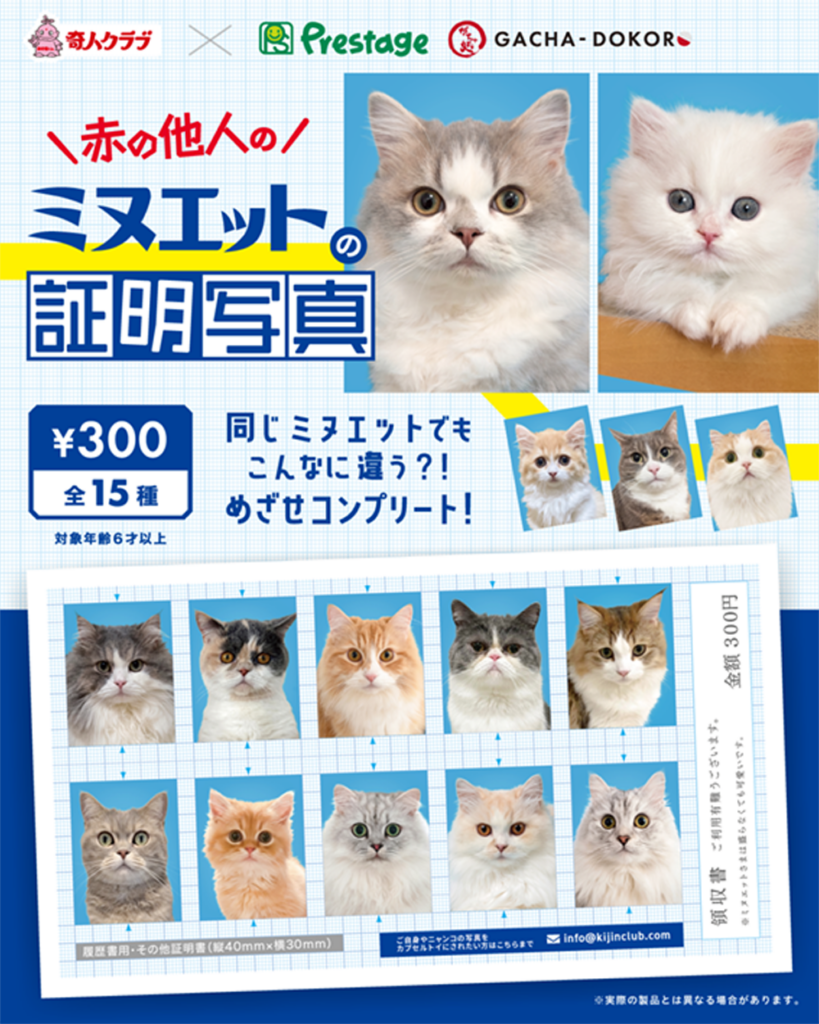 赤の他人のミヌエットの証明写真