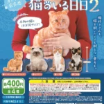 オトナの空気感 猫のいる日日2