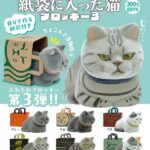 紙袋に入った猫 フロッキー3