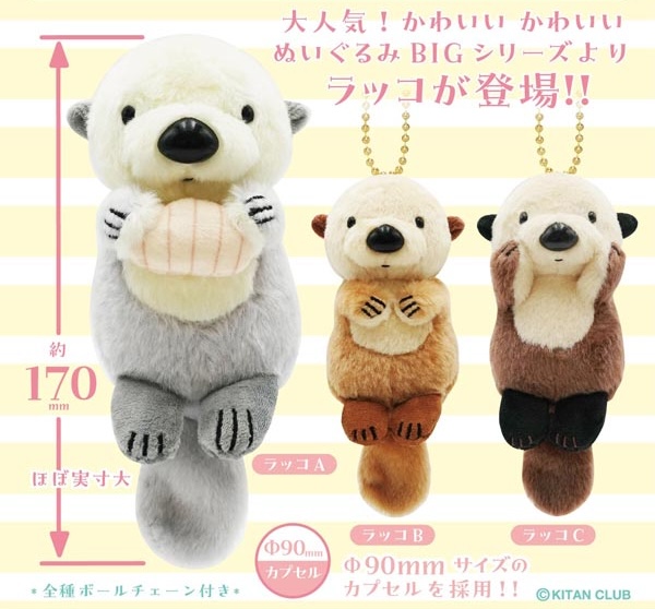 かわいい かわいい ぬいぐるみ BIG～ラッコ～