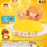 寝冷えネコ きよニャ２