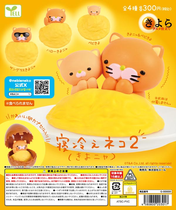 寝冷えネコ きよニャ２