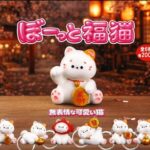 ぼーっと福猫