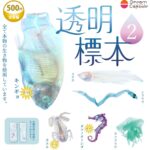 透明標本2