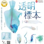 透明標本
