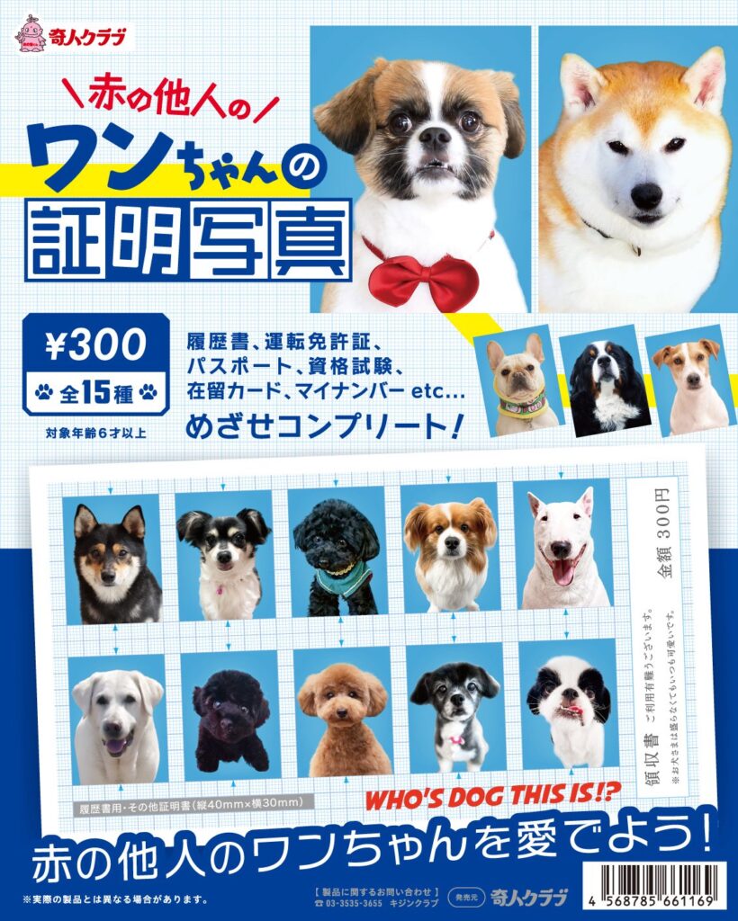 赤の他人のワンちゃんの証明写真（再販）