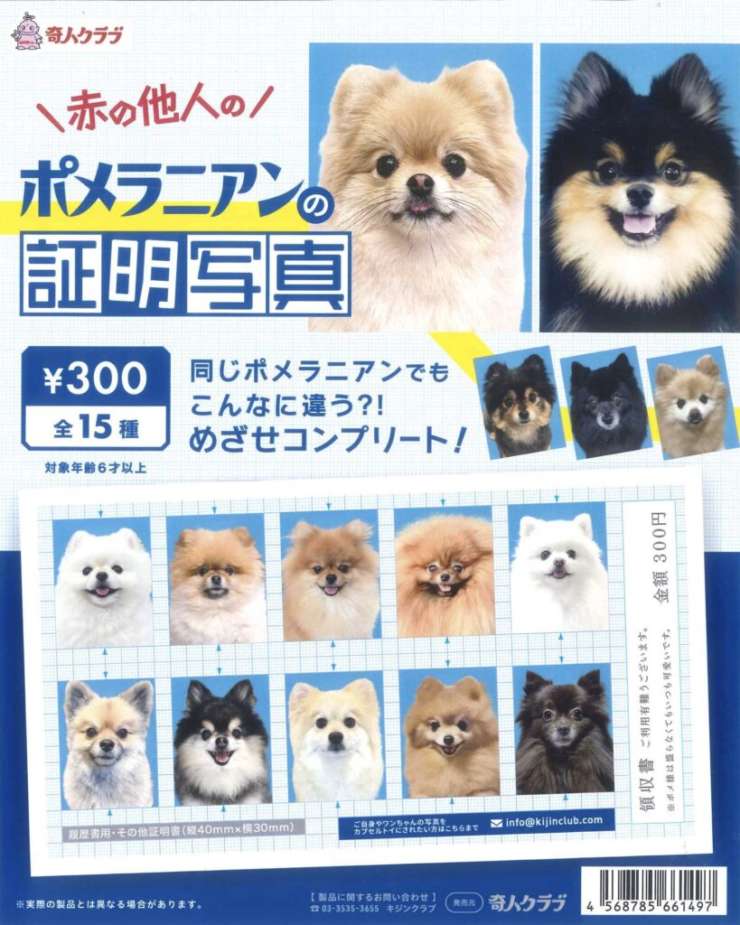 赤の他人のポメラニアンの証明写真（再販）