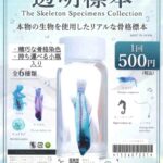 透明標本のカプセルトイ